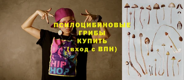 spice Беломорск