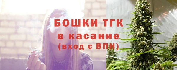 сатива Белокуриха