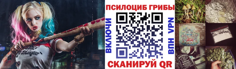 купить   Онега  Галлюциногенные грибы мухоморы 